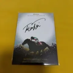 2026年最新】ホースレーシング サインの人気アイテム - メルカリ