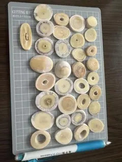 2026年最新】マッコウクジラの歯の人気アイテム - メルカリ