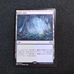 2026年最新】霧深い雨林の人気アイテム - メルカリ