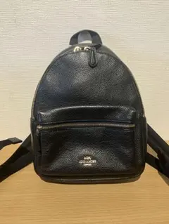 2026年最新】コーチ リュック f30550の人気アイテム - メルカリ