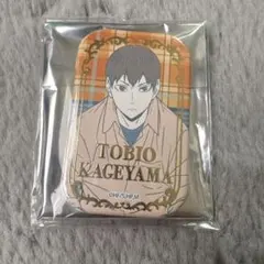 2026年最新】ハイキュー!! スクエア缶バッジ セブンネットの人気