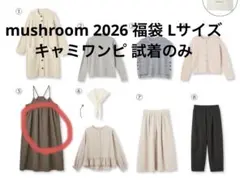 2026年最新】ゆべし福袋の人気アイテム - メルカリ