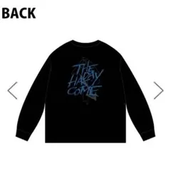 2026年最新】ポルノグラフィティ tシャツ lの人気アイテム - メルカリ