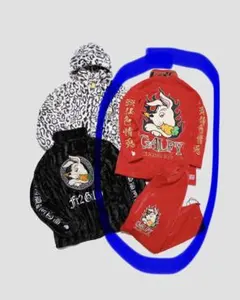 2026年最新】galfy fr2の人気アイテム - メルカリ