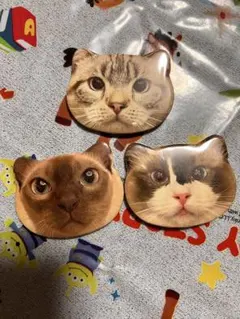 2026年最新】猫カフェ mochaの人気アイテム - メルカリ