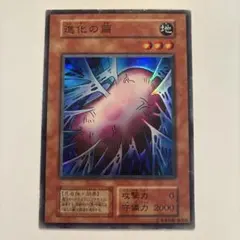 2026年最新】進化の繭 初期の人気アイテム - メルカリ