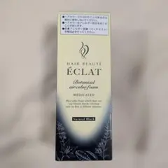 2026年最新】ヘアボーテエクラボタニカルエアカラーフォームexの人気