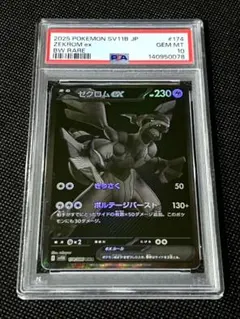 2026年最新】ゼクロム psa bwの人気アイテム - メルカリ
