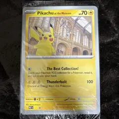 2026年最新】ロンドン ピカチュウの人気アイテム - メルカリ