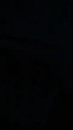 2026年最新】ミズノ 西野 グローブの人気アイテム - メルカリ