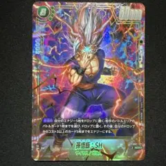 m95623466178_1.jpg?1768142448