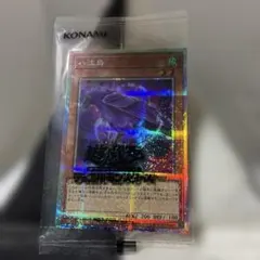 2026年最新】八汰烏 シークレットの人気アイテム - メルカリ