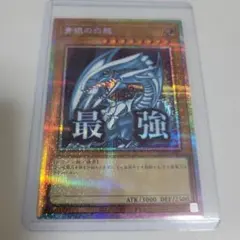 2026年最新】ブルーアイズ プリシクの人気アイテム - メルカリ