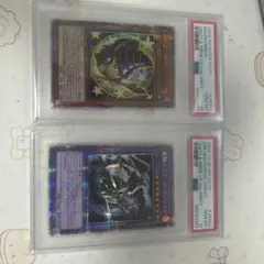 2026年最新】マジクリボー アジアの人気アイテム - メルカリ