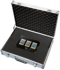 2026年最新】シクブル 海馬セットの人気アイテム - メルカリ