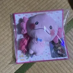 2026年最新】佐藤大樹 うぱごろうの人気アイテム - メルカリ