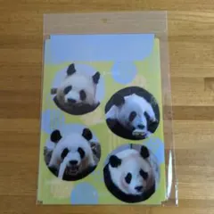 2026年最新】アドベンチャーワールド クリアファイルの人気アイテム