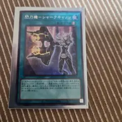 2026年最新】シャークキャノン シークレットの人気アイテム - メルカリ