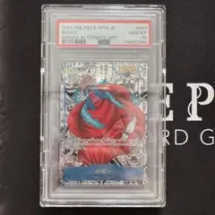 2026年最新】コミパラ psa10 バギーの人気アイテム - メルカリ