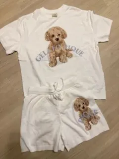 2026年最新】トイプードル ジェラートピケの人気アイテム - メルカリ