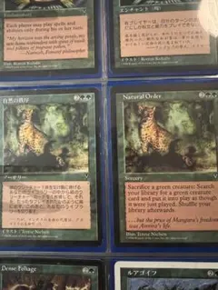 2026年最新】合計枚数/個数：2枚 マジック：ザ・ギャザリング(外国語版