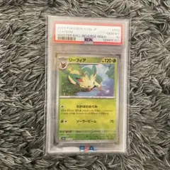 2026年最新】リーフィア マスターボール psa10の人気アイテム - メルカリ