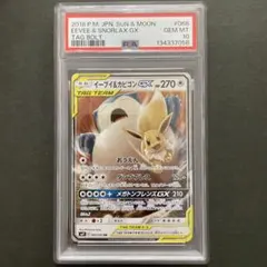 2026年最新】イーブイ カビゴン gx psa10の人気アイテム - メルカリ