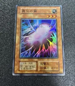 2026年最新】スタジオダイス版の人気アイテム - メルカリ