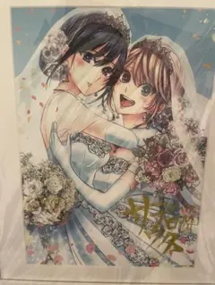 2026年最新】citrus サブロウタ サインの人気アイテム - メルカリ