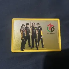 2026年最新】team雷電の人気アイテム - メルカリ