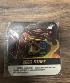 ピカチュウプロモ206/xy メガリザードンYのポンチョピカチュウの