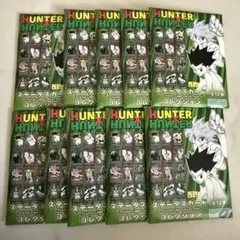 2026年最新】ステータスカードコレクション ハンターハンターの人気