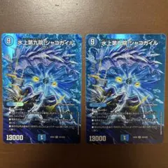 2026年最新】シャコガイルの人気アイテム - メルカリ