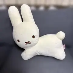 2026年最新】ブルーナ くじ ラストワンの人気アイテム - メルカリ