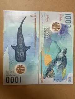 2026年最新】モルディブ紙幣の人気アイテム - メルカリ