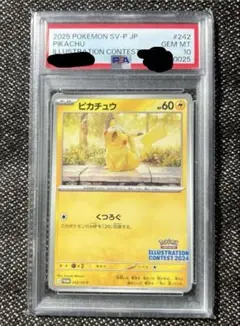 2026年最新】コンテストピカチュウの人気アイテム - メルカリ