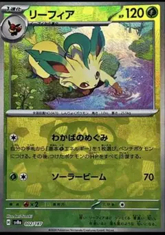 2026年最新】ポケモンカード テラスタルフェスex boxの人気アイテム