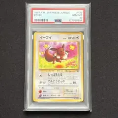 2026年最新】イーブイ psa10 連番の人気アイテム - メルカリ