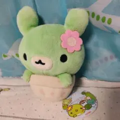 2026年最新】サボカッパ ぬいぐるみの人気アイテム - メルカリ