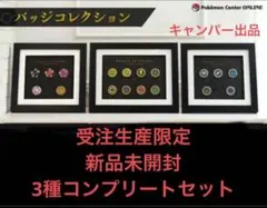 2026年最新】ポケモン バッジ チャンピオンロードの人気アイテム