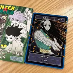 2026年最新】ステータスカードコレクション ハンターハンターの人気