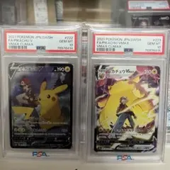 大量ピカチュウ クイックコンストラクション シャイニーコレクションsc