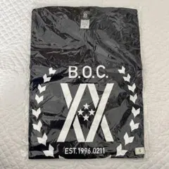 2026年最新】bump of chicken tシャツ 周年の人気アイテム - メルカリ