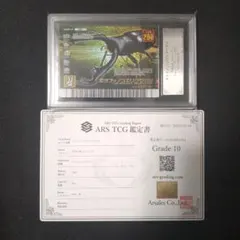 2026年最新】ars鑑定 10+の人気アイテム - メルカリ