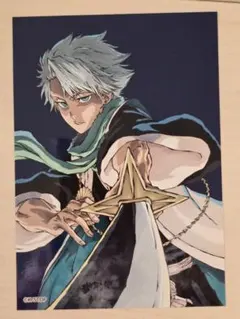 2026年最新】日番谷冬獅郎 カードの人気アイテム - メルカリ