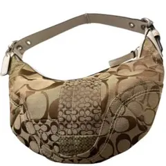 2026年最新】コーチパイソン バッグの人気アイテム - メルカリ