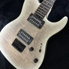 2026年最新】グラスルーツ テレキャスターの人気アイテム - メルカリ