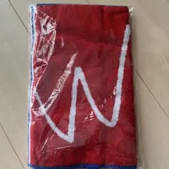 2026年最新】smap バスタオルの人気アイテム - メルカリ