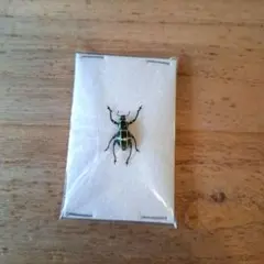 2026年最新】カタゾウムシの人気アイテム - メルカリ