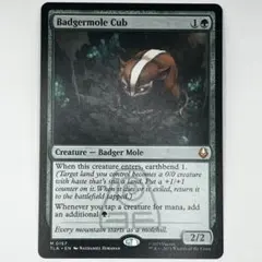 2026年最新】アナグマモグラの仔の人気アイテム - メルカリ